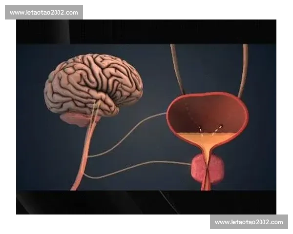 梦魇突袭！科学解析与实用应对指南